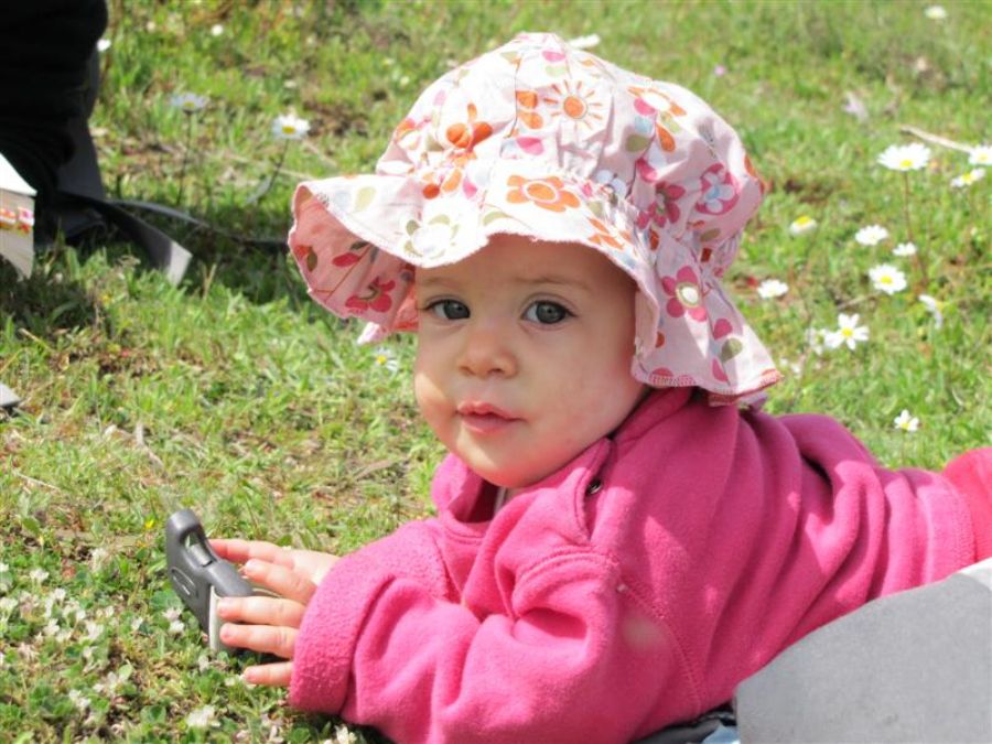 חצי האי פליון